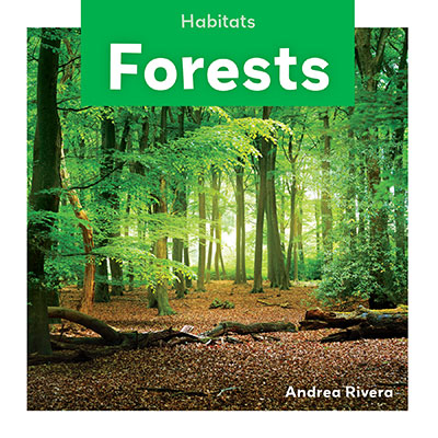 Book cover showing a forest with trees and a leafy ground