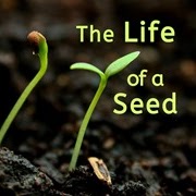 The Life of a Seed 🔊