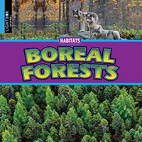Boreal Forests 🔊
