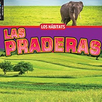 Book cover showing an elephant in a large grassland