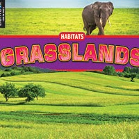 Grasslands 🔊