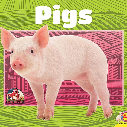 Book cover showing a small pink pig