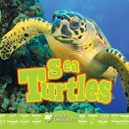 Book cover showing a sea turtle swimming in the ocean