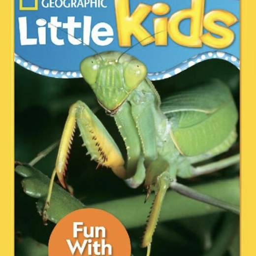 Book cover showing a praying mantis up close