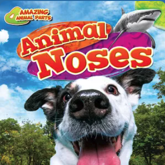 Animal Noses