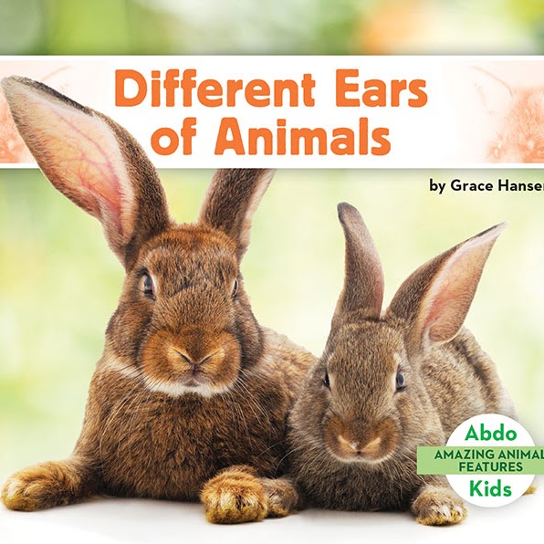 Different Ears of Animals