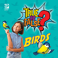 True or False: Birds 🔊