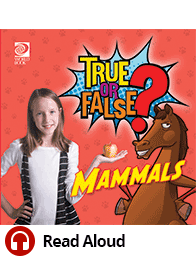 True or False: Mammals 🔊