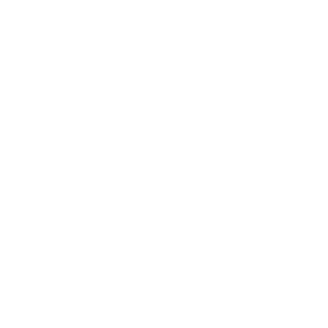 Arts and Humanities Focus Program