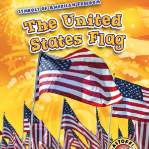 A book cover showing many United States flags waving on flagpoles against a yellow background with fireworks.