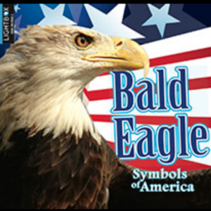 A book cover showing A bald eagle's head against an American flag background.