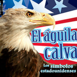 A book cover showing A bald eagle's head against an American flag background.