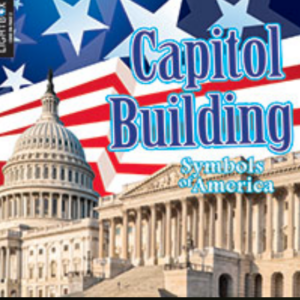 A book covering showing the US Capitol Building with an American flag background.