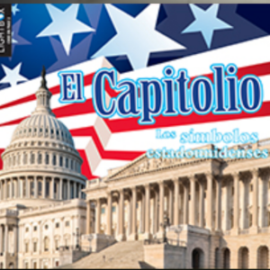 A book covering showing the US Capitol Building with an American flag background.