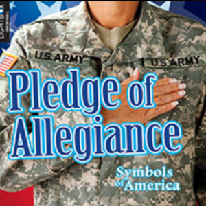 A book cover showing a person in a military uniform with their hand over their heart, against an American flag background.