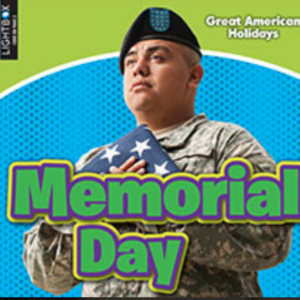 A book cover showing a military service member in uniform and a beret, holding a folded American flag against a blue and green background.