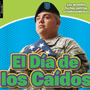 A book cover showing a military service member in uniform and a beret, holding a folded American flag against a blue and green background.