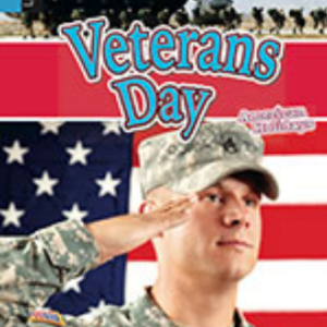 A book cover showing a military service member saluting in front of an American flag.