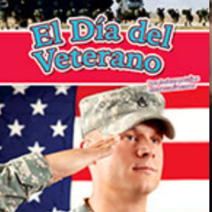 A book cover showing a military service member saluting in front of an American flag.