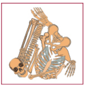A graphic showing a pile of human bones