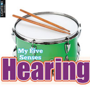 A book cover showing a drum.