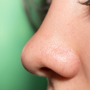 A close up picture of a nose.