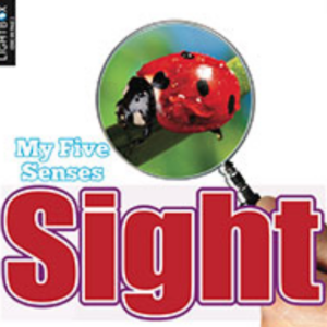 A book cover showing a magnifying glass looking at a ladybug