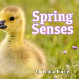 A book cover showing a fuzzy baby duck in a field
