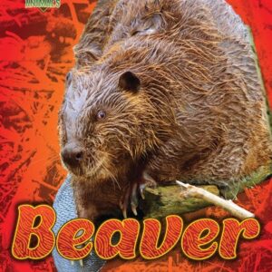 A book cover shows a close-up photograph of a wet, brown beaver resting on a branch, with its large teeth slightly visible, against a blurred red and orange background.