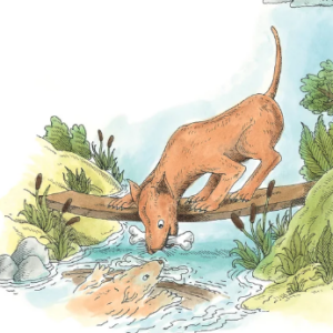 A book cover showing a dog looking at his reflection in a river while holding a bone.