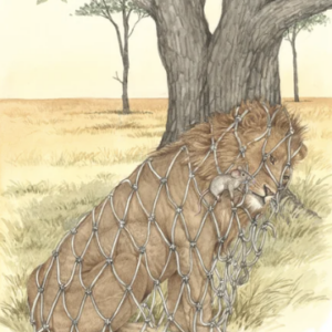 A drawing of a sad lion in a net.