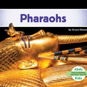 A book cover showing a gold sarcophagus