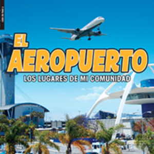 A book cover showing a plane taking off at an airport