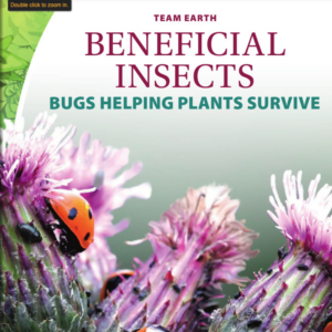 A book cover showing a ladybug on a flower