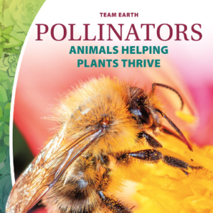 A book cover showing a close up of a bee and a flower