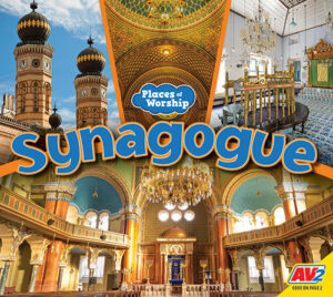 A book cover showing the inside of a synogogue