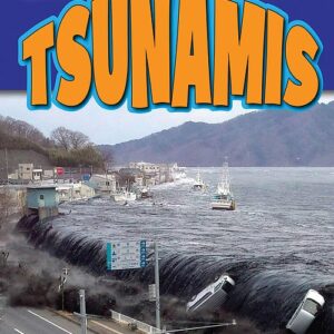 A book cover showing a tsunami wave in a coastal area