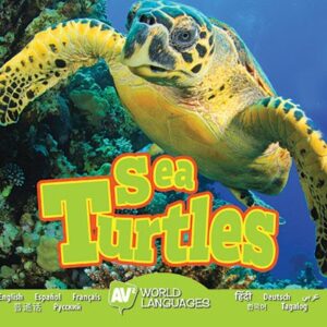 A book cover features a sea turtle with patterned shell and flippers swimming near coral reefs in blue ocean water.