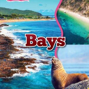 A book cover with pictures of a bay and a seal