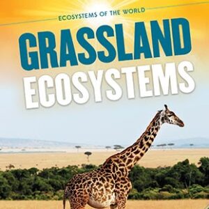 A book cover showing a giraffe in a grassland