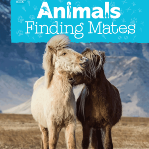 A book cover features two shaggy-maned horses, one light-colored and one dark-colored, with their heads close together as if nuzzling or interacting, set against a blurry mountainous landscape.