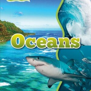 A book cover showing an ocean bay and a shark