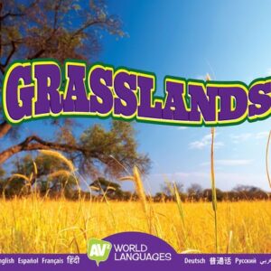 A book cover showing a golden grass field