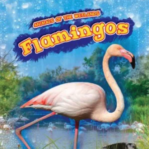 A book cover features a light pink flamingo standing in water with other flamingos in the background, set against a backdrop of green foliage and a blue sky with water droplets.