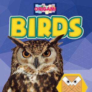 A book cover with a picture of an owl and an origami owl