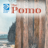 Book cover showing several large trees on the coast