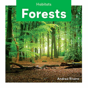 Book cover showing a forest with trees and a leafy ground