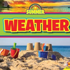 Book cover showing a sand castle on a beach