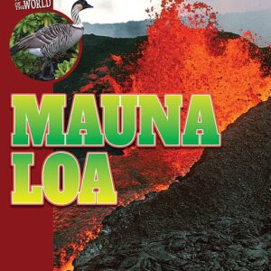 Book cover showing lava shooting from a volcano