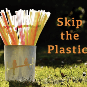 Book cover showing straws in a cup